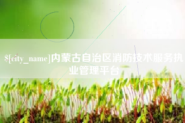 青海内蒙古自治区消防技术服务执业管理平台