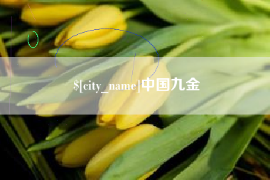 青海中国九金