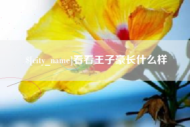 青海看看王子豪长什么样
