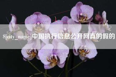 青海中国执行信息公开网真的假的