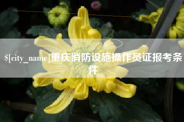 青海重庆消防设施操作员证报考条件