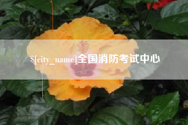 青海全国消防考试中心