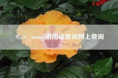 青海消防证查询网上查询