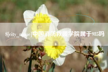 青海中国消防救援学院属于985吗