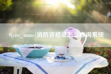 青海消防资格证怎么查询系统