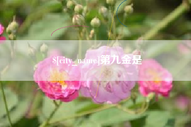 青海第九金是