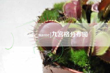青海九宫格分布图