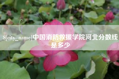青海中国消防救援学院河北分数线是多少