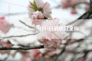 青海11月9日消防日全称