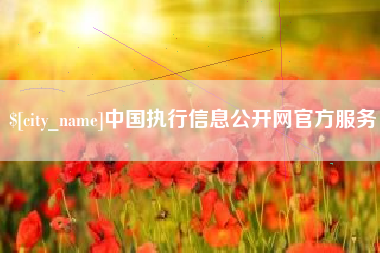 青海中国执行信息公开网官方服务