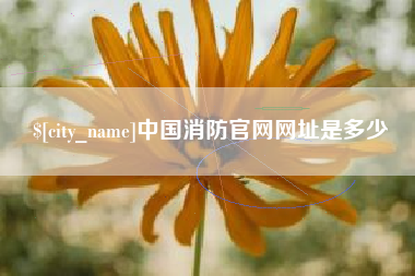 青海中国消防官网网址是多少