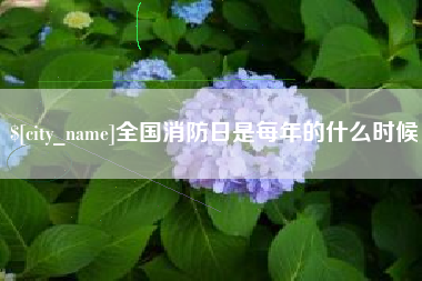 青海全国消防日是每年的什么时候