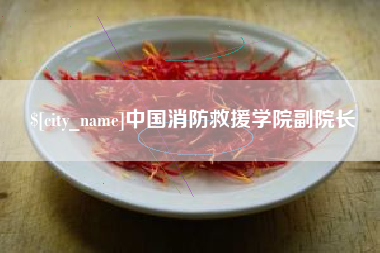 青海中国消防救援学院副院长