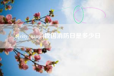 青海我国消防日是多少日