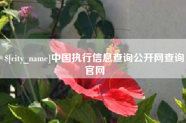 青海中国执行信息查询公开网查询官网