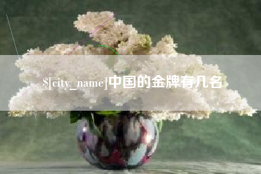 青海中国的金牌有几名
