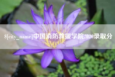 青海中国消防救援学院2020录取分