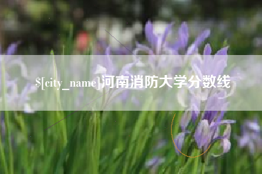 青海河南消防大学分数线