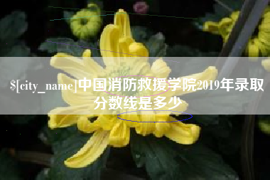 青海中国消防救援学院2019年录取分数线是多少