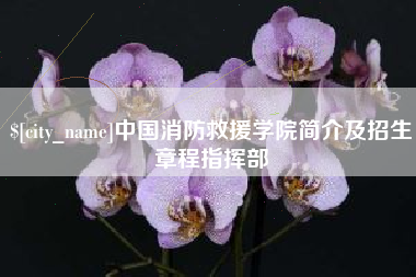 青海中国消防救援学院简介及招生章程指挥部