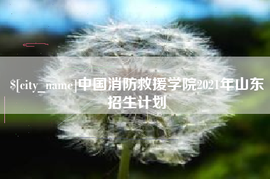青海中国消防救援学院2021年山东招生计划