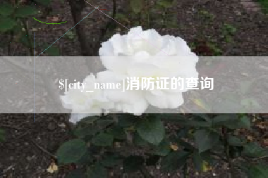 青海消防证的查询