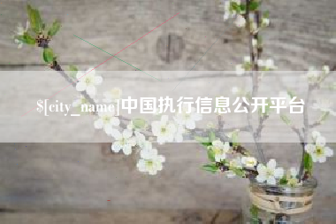 青海中国执行信息公开平台