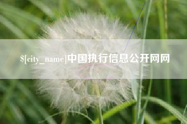青海中国执行信息公开网网
