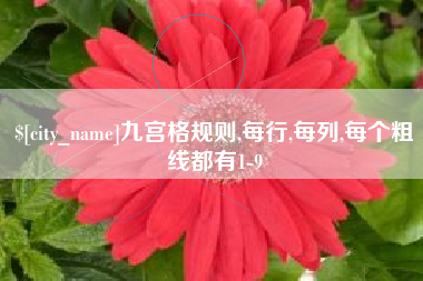 青海九宫格规则,每行,每列,每个粗线都有1-9