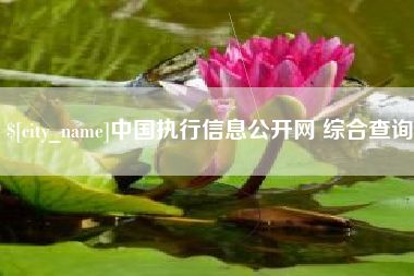 青海中国执行信息公开网 综合查询