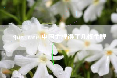 青海中国金牌得了几枚金牌