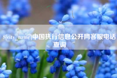 青海中国执行信息公开网客服电话查询