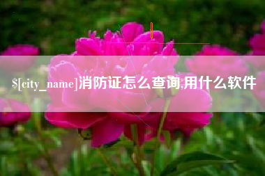 青海消防证怎么查询,用什么软件