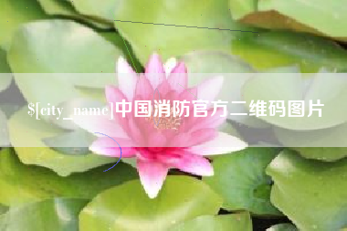 青海中国消防官方二维码图片