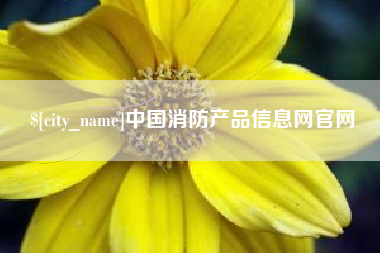 青海中国消防产品信息网官网