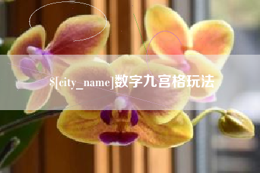 青海数字九宫格玩法