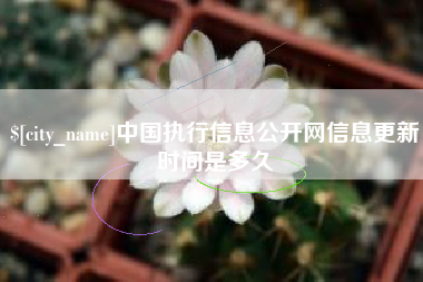 青海中国执行信息公开网信息更新时间是多久