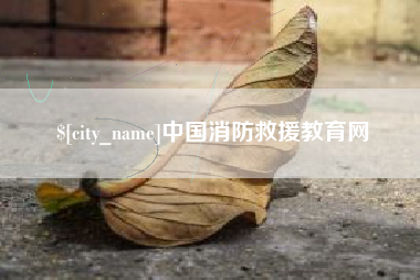 青海中国消防救援教育网