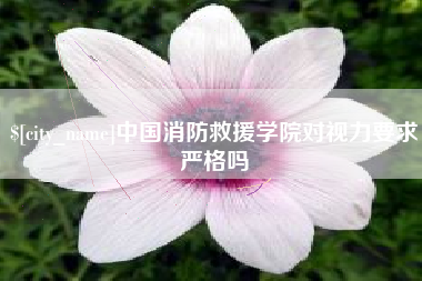 青海中国消防救援学院对视力要求严格吗