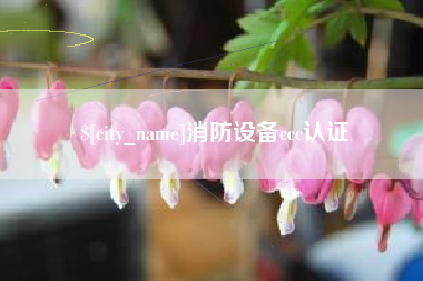 青海消防设备ccc认证
