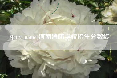 青海河南消防学校招生分数线
