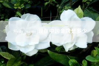 青海现在中国金牌是多少