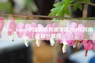 青海中国消防救援学院2020年河南录取分数线