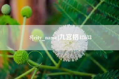 青海九宫格42633