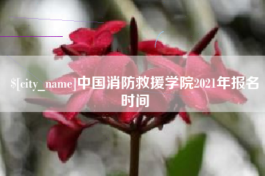 青海中国消防救援学院2021年报名时间