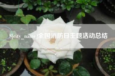 青海全国消防日主题活动总结