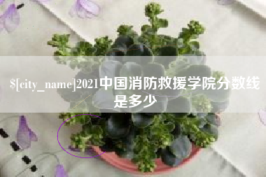 青海2021中国消防救援学院分数线是多少