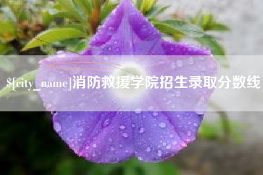 青海消防救援学院招生录取分数线