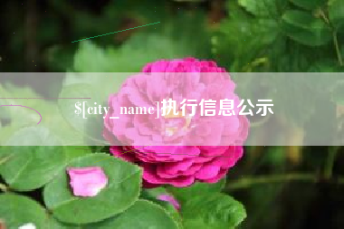 青海执行信息公示