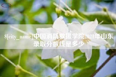 青海中国消防救援学院2021年山东录取分数线是多少